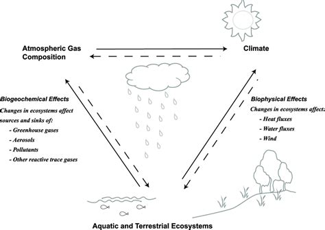 1. Ecosystem Effects on the Atmosphere and Climate. Ecosystems, the... | Download Scientific Diagram