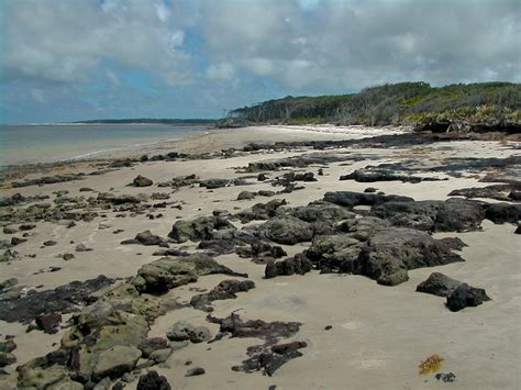 Big Talbot Island State Park Florida Hikes