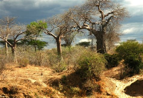 Tanzania – Landscape