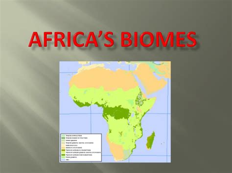 PPT - Africa’s biomes PowerPoint Presentation, free download - ID:2514965