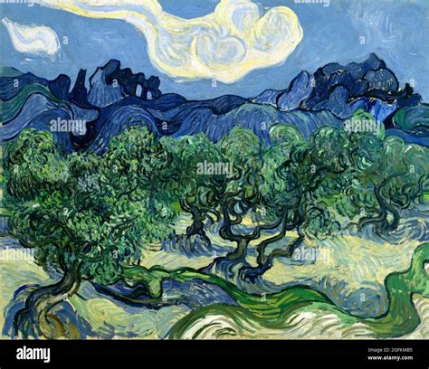 Vincent Van Gogh Olive Trees With The Alpilles In The Background