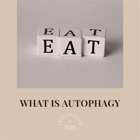 What Is Autophagy And Why Should You Care Integrative Steps