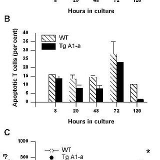 Effect of Tg A1-a on apoptosis and accumulation of T cells activated ...
