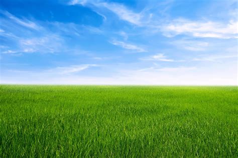 campo de grama verde nuvem branca de anúncio de céu azul fundo de