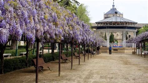 Comienza La Remodelaci N Del Parque De La Vega Toledo Sociedad