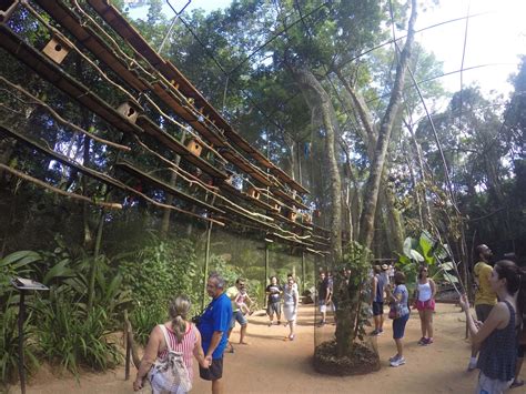 Parque Das Aves Uma Tima Surpresa Em Foz Do Igua U