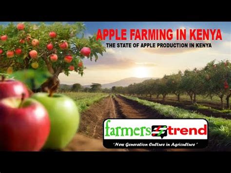 The Boom Of Apple Farming In Kenya Youtube