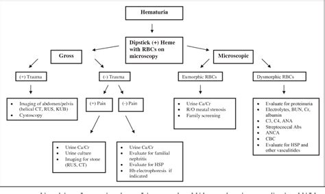 Figure 3 From Glomerular Versus Extraglomerular Hematuria Semantic Scholar