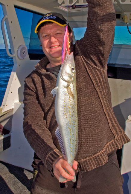 Fact Sheet 001 - Metropolitan King George Whiting - Perth Fishing TV v3