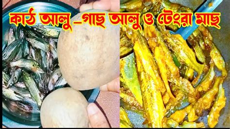 Charu Diaryকাঠ বা বনমাছ আলু দিয়ে টেংরা মাছের ঝোল Tengra Macher