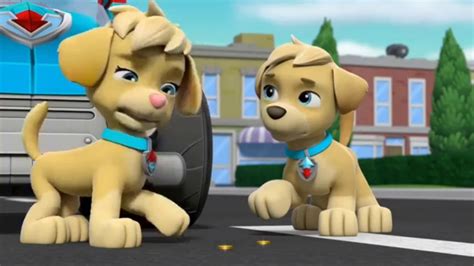 Paw Patrol Clip Mighty Pups Super Paws Ella Tuck Know Who Loves