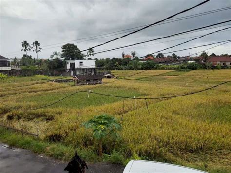 Villa Pererenan View Sawah Dijual Co Id