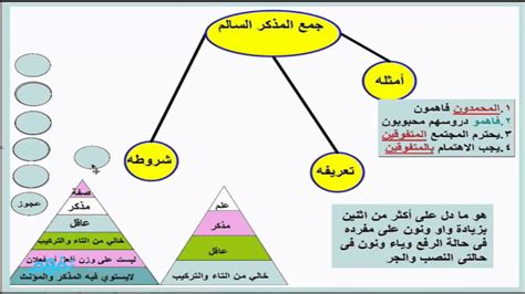 جمع المذكر السالم اللغة العربية الصف الأول الثانوي مصر منهج