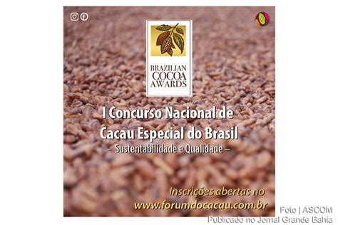 Cartaz Do I Concurso Nacional De Cacau Especial Do Brasil