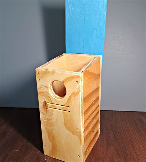 Buy One Get One Free Colorful Plywood Birdhouse With Hinge Choose Red Or Blue Roof Etsy