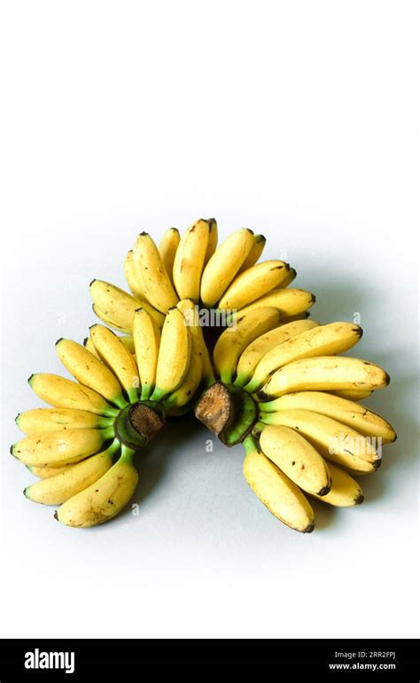 Musa Basjoo Fruit Hi Res Stock Photography And Images Alamy