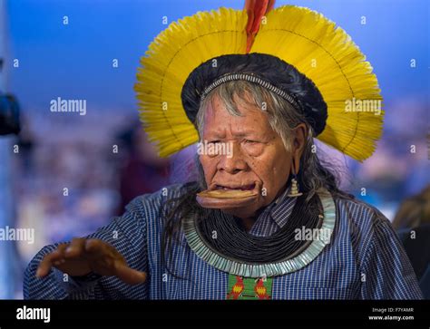 Paris France 03rd Dec 2015 Raoni Metuktire Chief Of The Kayapo