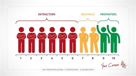 Infographics Best Example For Nps