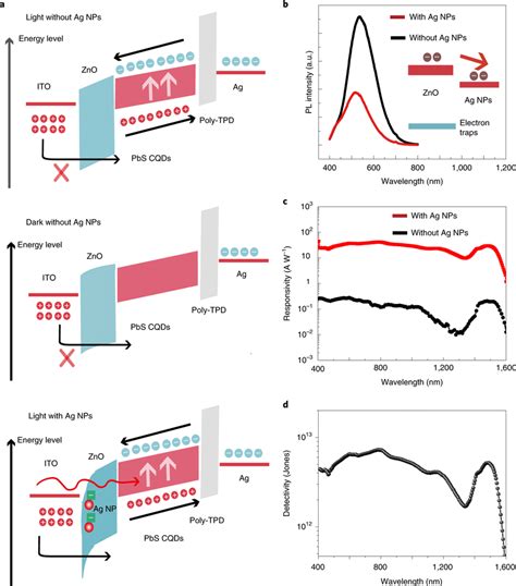 Operation Of The Photodetector A Energy Band Diagram Of The