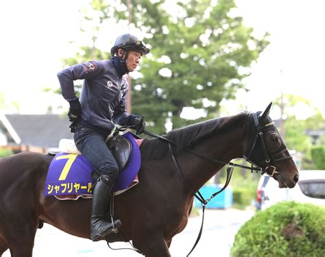 【日本ダービー】シャフリヤールが軽快な動き 藤原英調教師「体を大きく見せている」 スポーツ報知