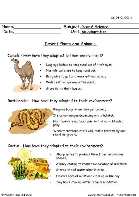 Science Desert Plants And Animals Worksheet Animal Adaptations