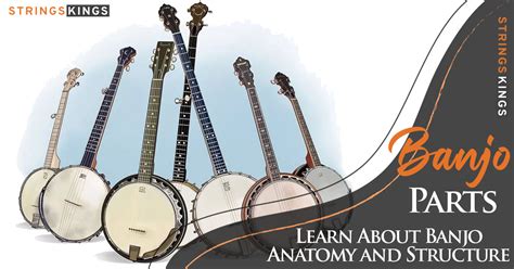 All Banjo Parts Anatomy And Structure Learn More 2023