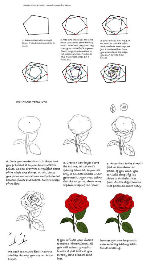 Rose tutorial by Precia-T on DeviantArt | Flower drawing tutorials ...