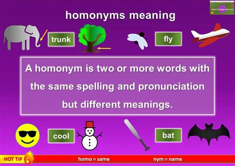 Homonyms Definition And Examples Mingle Ish