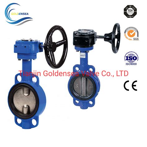 Wafer Type Cast Iron Body Replacable Seat Flexible Butterfly Valves