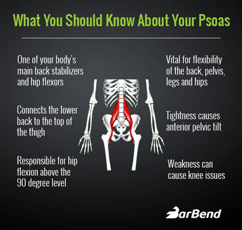 3 Exercises For A Stronger Psoas Barbend