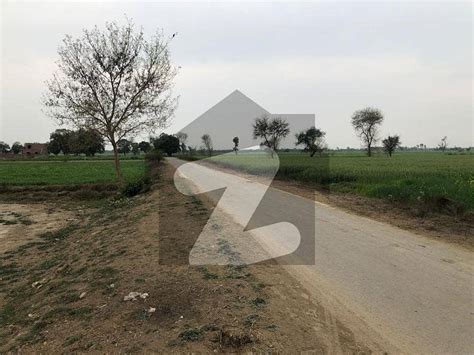 8 KANAL FARM HOUSE LAND IN BEDIAN ROAD JAHMAN VILLAGE IDEAL LOCATED