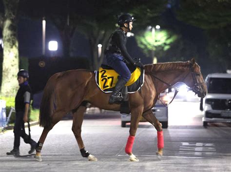 ウイングレイテスト豪快に11秒3、松岡騎手「10点満点中9点」背中の緩さ取れた／中京記念 競馬写真ニュース 日刊スポーツ