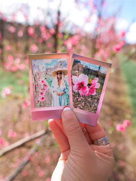 Cómo Crear Fotos Instantáneas Dignas De Instagram Con Tu Instax