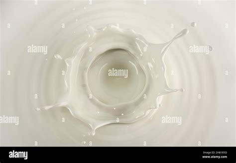 Milk Crown Splash In Milk Pool With Circular Ripples Viewed From The