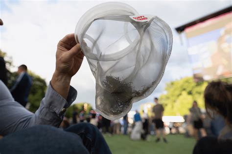 Riesiger Kunstrasen Zur Fu Ball Em Das Ist Aktive Umweltverschmutzung