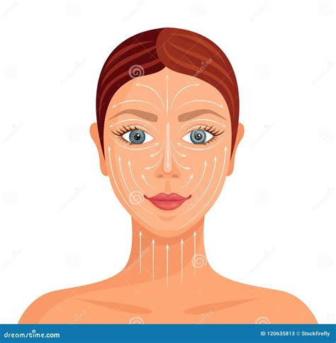 Massage Lines On The Face Vector Stock Vector Illustration Of Line