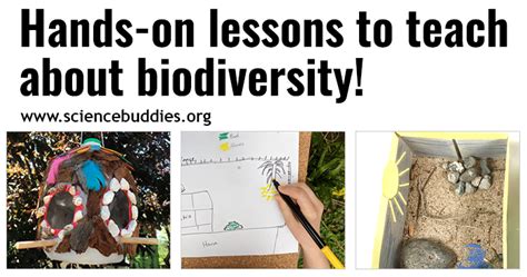 Teach About Biodiversity With Free Stem Lessons Activities Science