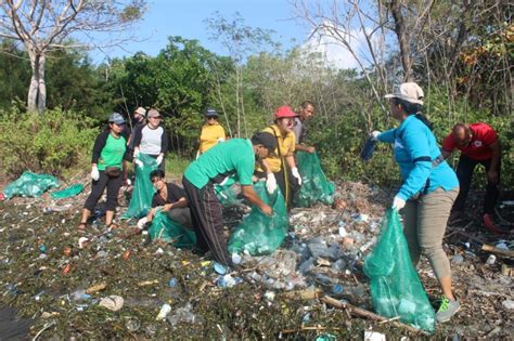 Bersih Bersih Mangrove Desa Sidakarya Tegaskan Dukung Pembangunan