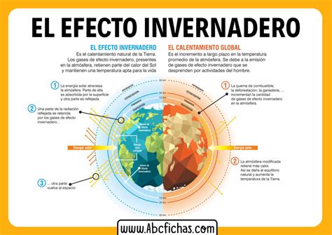 Ecosistema Y Cuidado Del Ambiente Mind Map