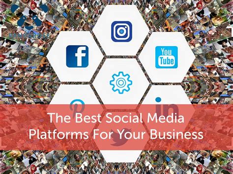 The Best Social Media Platforms For Your Business — Panda Rose