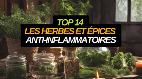 Top 14 des herbes et épices anti inflammatoires BMoove