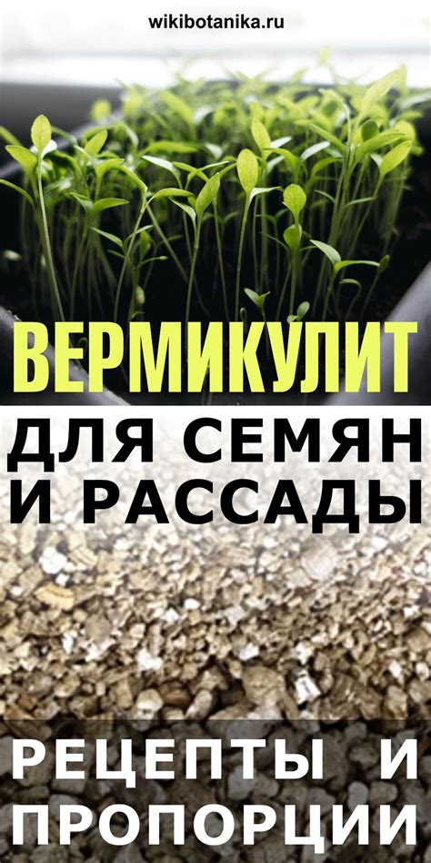 Вермикулит для семян и рассады. Рецепты и пропорции | Растения ...