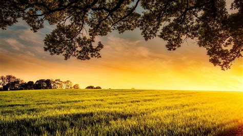 Field Beauty Nature Sunset Clouds Weather Landscape