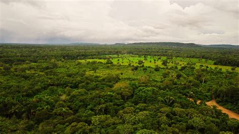 Área de proteção ambiental em Juruti é oficialmente criada Imazon