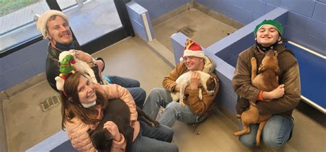 Martinsville Henry County Spca