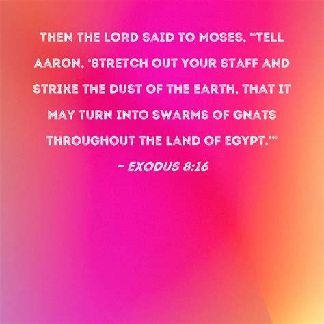 Exodus 8 16 Then The Lord Said To Moses Tell Aaron Stretch Out Your Staff And Strike The