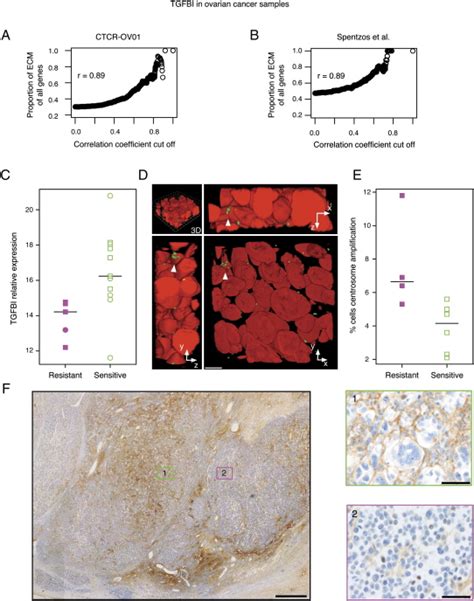 The ECM Protein TGFBI Sensitizes Ovarian Carcinoma Cells In Vivo To The