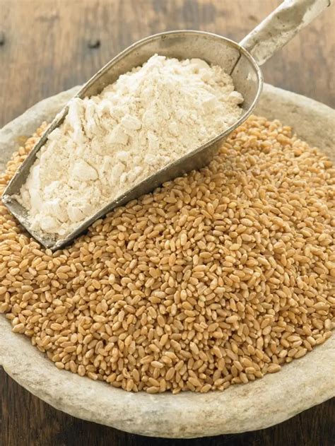 Wheat Semolina / Durum Wheat Semolina Flour - Buy Wheat Flour Macallan ...