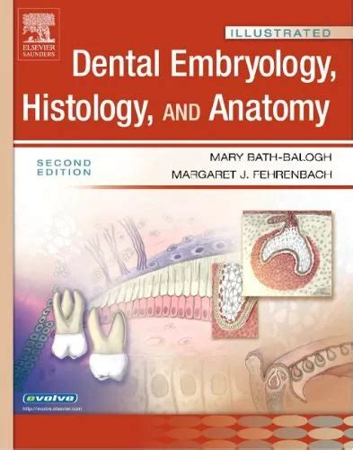 Illustrated Dental Embryology Histology And Anatomy Illustrat £891