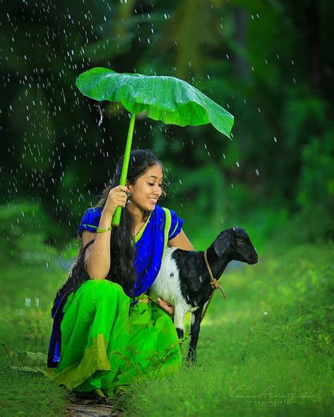 Hd Wallpaper Nature Rain Photography Kerala